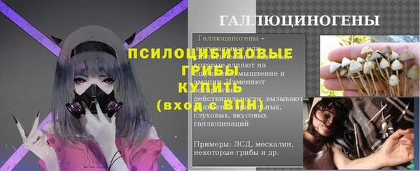 спиды Белокуриха